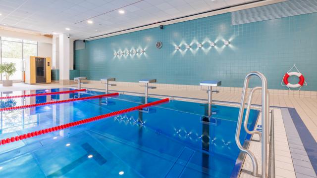 Schwimmhalle - Stirnseite mit Lampen und Startblöcken sowie Einstiegsleiter